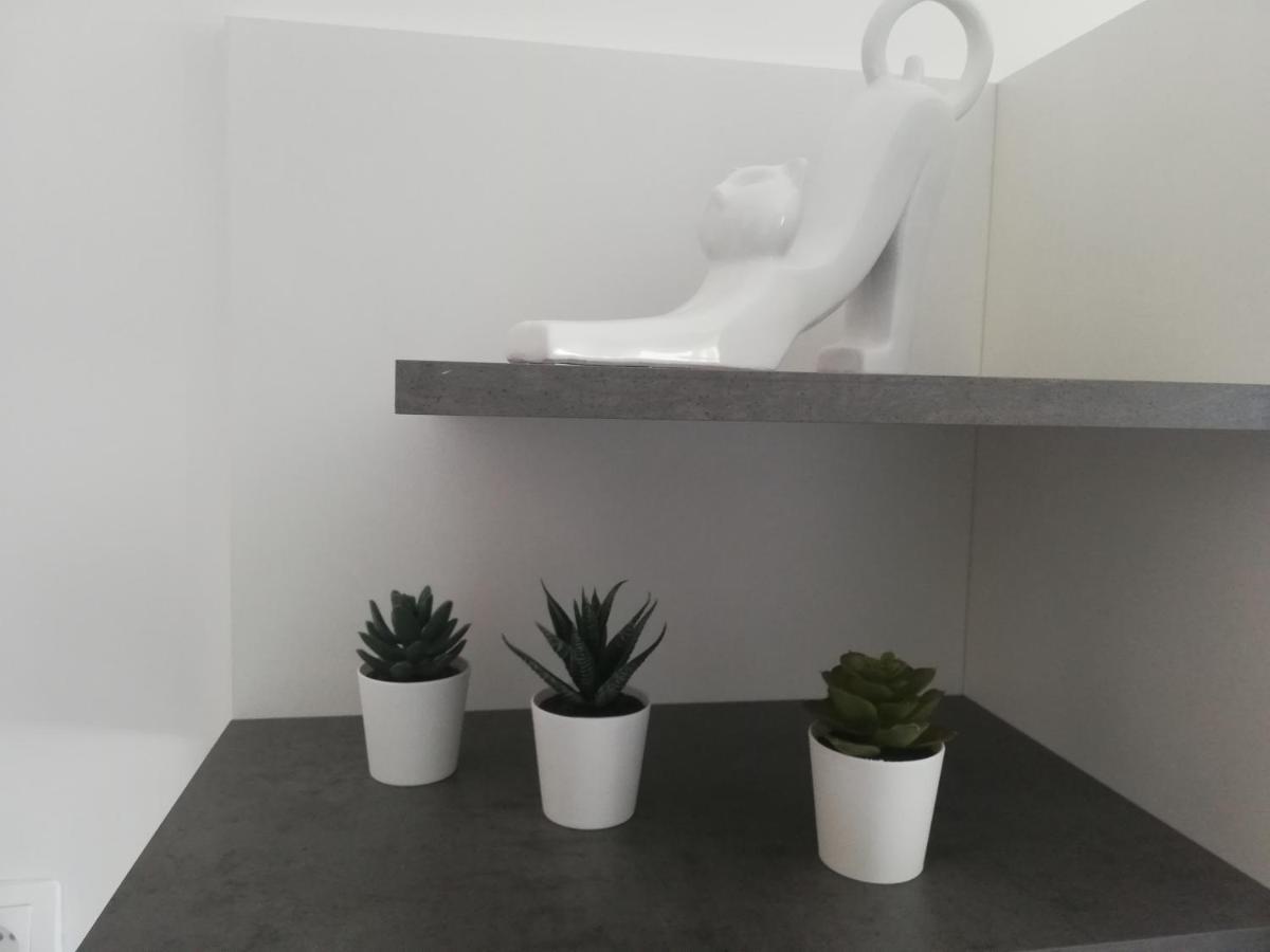 קרלובג Apartment Susanj מראה חיצוני תמונה